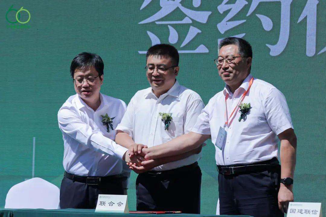 首个六零绿色建材日启动｜引领行业绿色发展(图11)