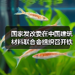 国家发改委在中国建筑材料联合会组织召开铁铝酸盐水泥工程示范应用研讨会(图3) 国家发改委在中国建筑材料联合会组织召开铁铝酸盐水泥工程示范应用研讨会(图3)