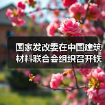 国家发改委在中国建筑材料联合会组织召开铁铝酸盐水泥工程示范应用研讨会(图2) 国家发改委在中国建筑材料联合会组织召开铁铝酸盐水泥工程示范应用研讨会(图2)