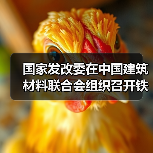 国家发改委在中国建筑材料联合会组织召开铁铝酸盐水泥工程示范应用研讨会(图1) 国家发改委在中国建筑材料联合会组织召开铁铝酸盐水泥工程示范应用研讨会(图1)