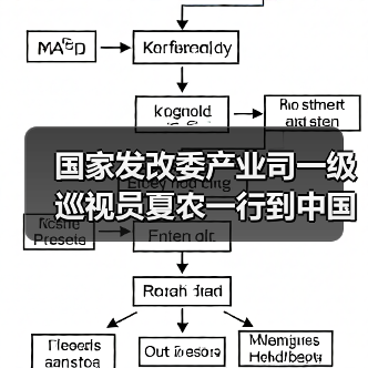 国家发改委产业司一级巡视员夏农一行到中国建筑材料联合会调研指导（图1）
