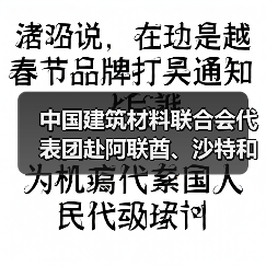 中国建筑材料联合会代表团赴阿联酋、沙特和埃及进行建材经贸和投资合作考察(图1) 中国建筑材料联合会代表团赴阿联酋、沙特和埃及进行建材经贸和投资合作考察(图1)