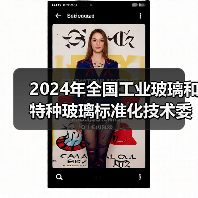 2024年全国工业玻璃和特种玻璃标准化技术委员会年会在宿迁召开(图4) 2024年全国工业玻璃和特种玻璃标准化技术委员会年会在宿迁召开(图4)