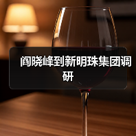 阎晓峰到新明珠集团调研(图4) 阎晓峰到新明珠集团调研(图4)