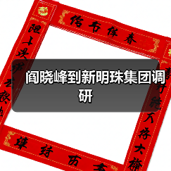 阎晓峰到新明珠集团调研（图3）