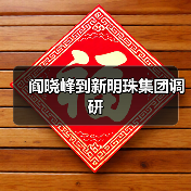 阎晓峰到新明珠集团调研（图4）